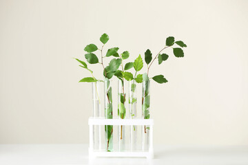 Test tubes with green plants on white table
