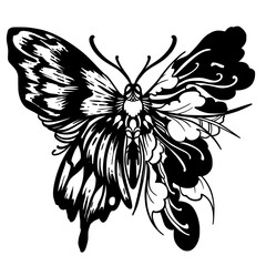 Obraz premium Butterfly