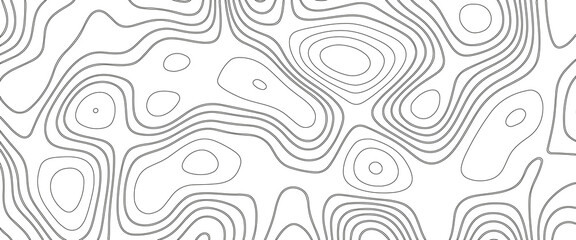 White wave paper curved reliefs abstract background, Abstract topographic contours map background. Geographic mountain relief. Abstract lines background. Contour maps. Business concept.
