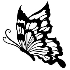 Naklejka premium Butterfly