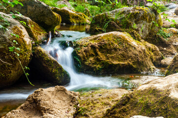 waterfall in the forest