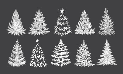 Christmas tree hand drawn illustration	
