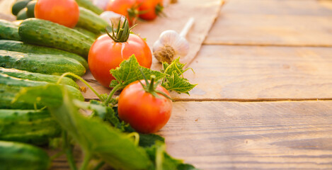 Fresh vegetables on a wooden background. Empty space for the text. Cucumbers, tomatoes, garlic, dill. Top view.