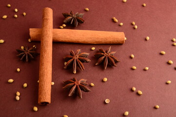 Cinnamon stick and star anise spice.