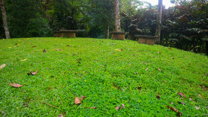 stone seats set in green grass and trees in the background