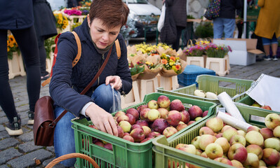 Woman selecting fresh red apples at the farmers market