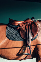 saddle on the horse's back