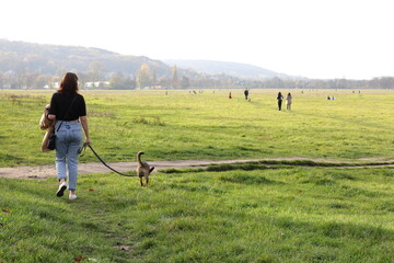 Młoda kobieta spacerująca z psem na Błoniach w Krakowie