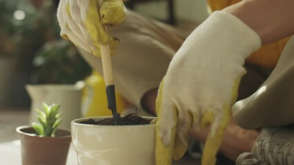 Close up shot of young woman in gloves planting succulent in pot with soil while caring for houseplants in home jungle