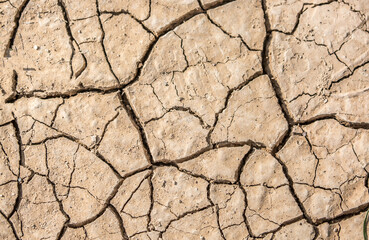 Cracked earth background, drought texture. Cracked earth in cracks, dry bottom of the lake.
