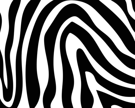 vector seamless pattern with zebra skin.