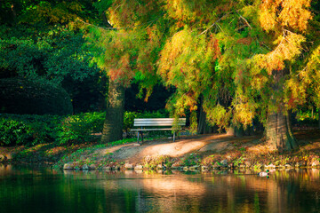 Empty bench in park.  Wooden bench embedded inside the green plants