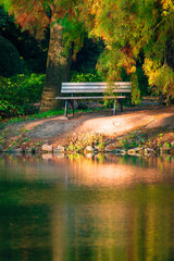 Empty bench in park.  Wooden bench embedded inside the green plants