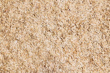 Background of cucumber seeds. Seed in large quantities for sowing and storage in a warehouse.