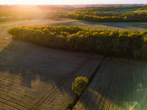 Aerial view Bordeaux Vineyard and forest at sunrise, film by drone in autumn, Entre deux mers, High quality photo