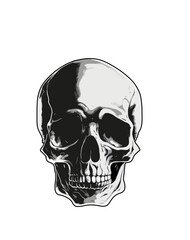 skull 001