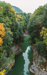 Fototapeta na wymiar river in autumn forest