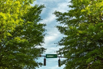 Street name sign on the pole with traffic lights surrounded by green foliage. South Carolina, USA.