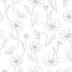 Fototapeta premium Seamless pattern of white cosmea flowers. Vector space floral botanical flowers. Black and white ink engraving. Seamless background pattern.