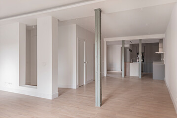 Empty room with large open space, antique metal columns, white wooden joinery and wood-like...