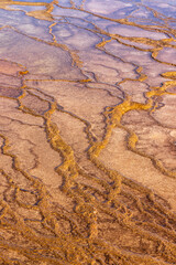 Grand Prismatic spring at Yellowstone National Park. USA.