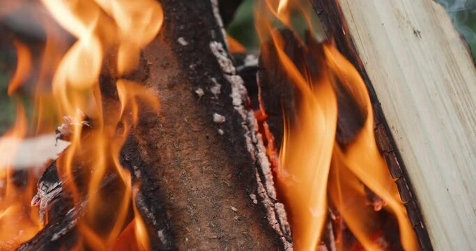Camp fire. Close up.  High quality video 6k 10bit downscale 4k	