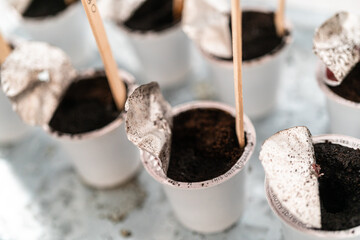 Planting seeds