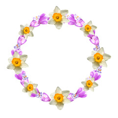 round frame of crocus flowers, daffodils, saffron