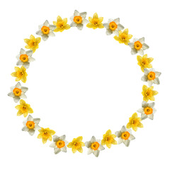 round frame of spring daffodils