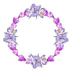 Fototapeta na wymiar round frame of crocus flowers, saffron