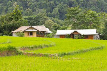 Fototapeta na wymiar home stay at Maeglangluang Karen village, chiangmai Thailand