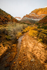 Winter sunrise in Zion National Park, United States of America