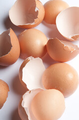 eggshells broken isolated 