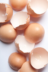 eggshells broken isolated 