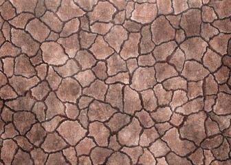 3D rendering tree bark background