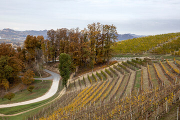 Alba (CN), Italy - November 19, 2022: The Ceretto winery hill, Alba, Cuneo, Piedmont, Italy.