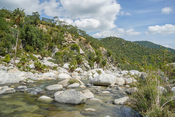 river creek white stones in san dionisio in sierra de la laguna baja california sur mexico © Andrea Izzotti