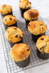 Mini Easter Bread Kulich