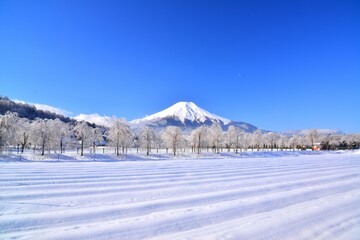 富士山と雪景色