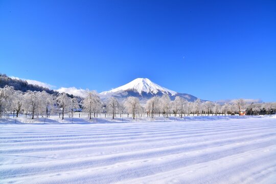 雪景色 Images – Browse 138,353 Stock Photos, Vectors, and Video