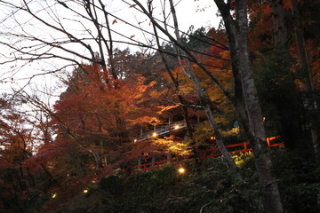 京都　貴船神社の紅葉