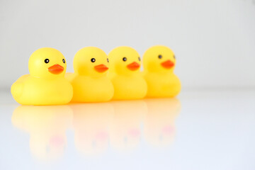 Four yellow rubber ducks in a row. Idiom, phrase, concept for organisation, to get one’s ducks in a row. Copy space. Work or business speak.