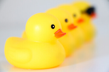 Four yellow rubber ducks in a line of four, get one’s ducks in a row