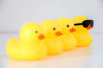 Cool yellow rubber duck with black sunglasses leads a group of four. Idiomatic and phrase concept of organisation, to get one’s ducks in a row.