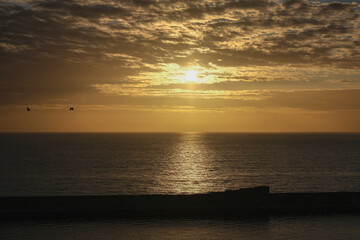 Beautiful horizon sunrise sunset dusk dawn twilight blue hour over ocean sea with sea gulls nature seascape scenery