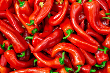 Fresh red peppers for sale at vegetable market, close up. Pepper at the greengrocer's stall. Vegetable.