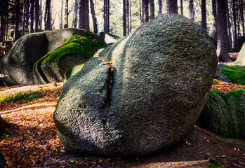 stones in the woods - 548260900