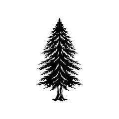 Natural silhouette of a redwood tree or tree pine silhouette vector logo. template tree isolated - obrazy, fototapety, plakaty