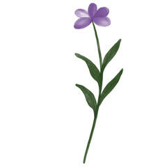 purple flower watercolor