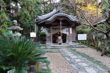 Fototapeta premium A Japanese temple : a scene of Kaizan-do Hall in the precincts of Hozan-ji Temple before dark in Ikoma City in Nara Prefecture 日本のお寺：奈良県生駒市の宝山寺の境内にある開山堂の日暮れ前の風景